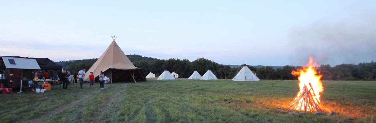 Séminaire en Pleine Nature : Une Parenthèse pour Reconnecter vos Equipes