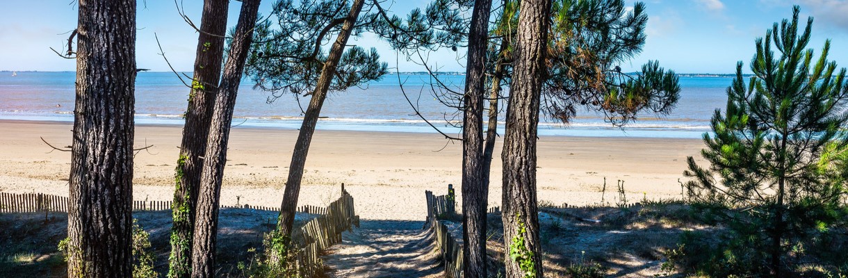 Destination Séminaire : Mer, Montagne, Ville ou Séminaire au Vert ?
